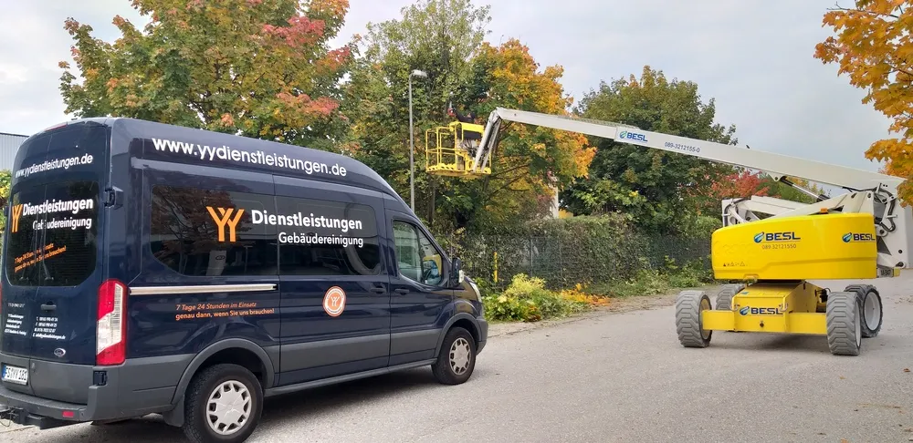 YY Dienstleistungen - Beschneiden von Bäumen am Straßenrand