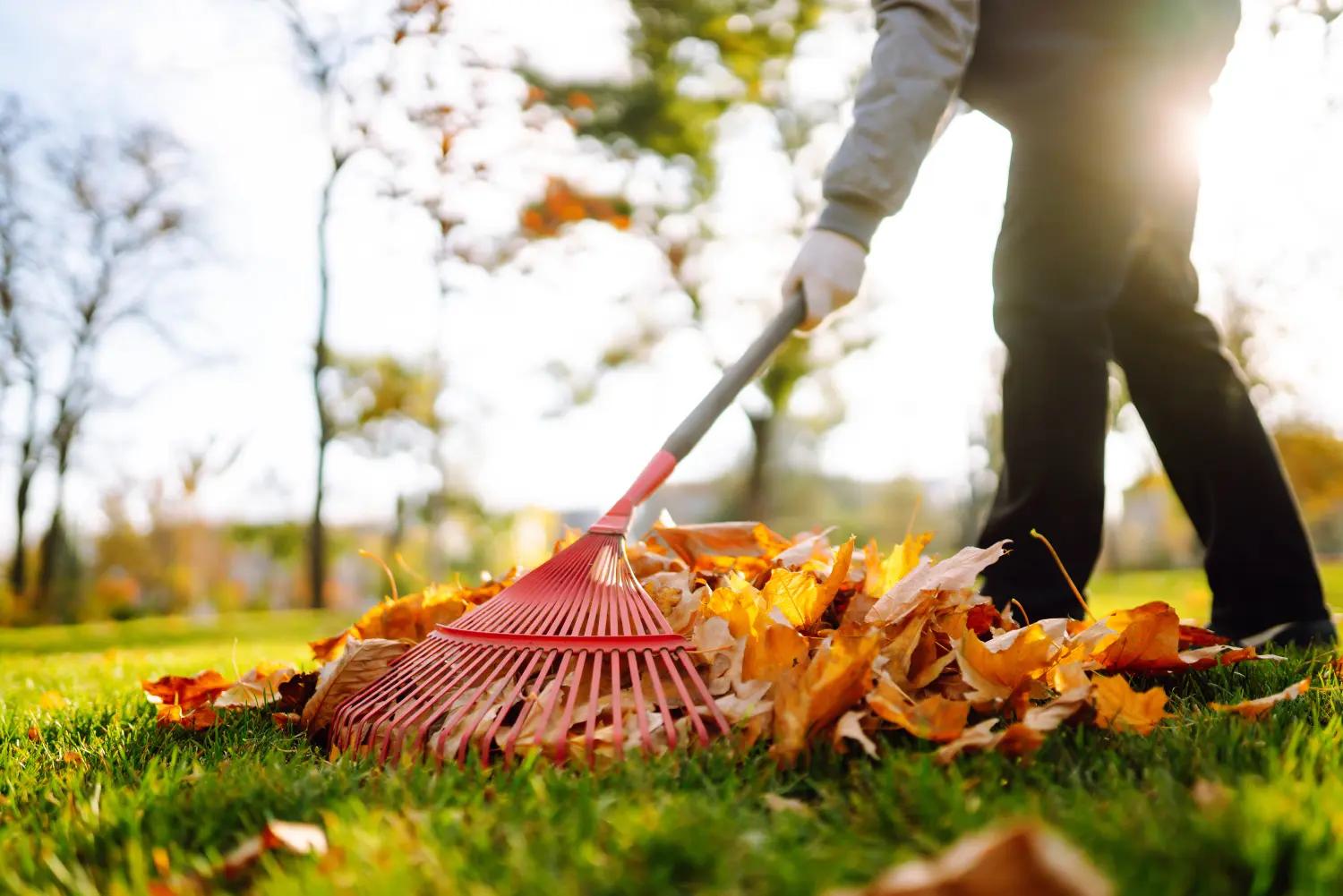 Harke mit gefallenen Blättern im Park. Hausmeister reinigt Laub im Herbst. Freiwilligenarbeit, Reinigung und ökologisches Konzept. 